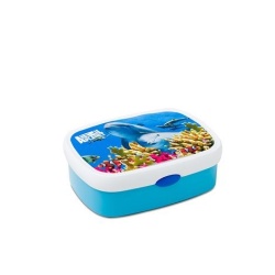 Dolfijn Lunchbox