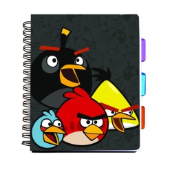 Projectboek a5 angry birds