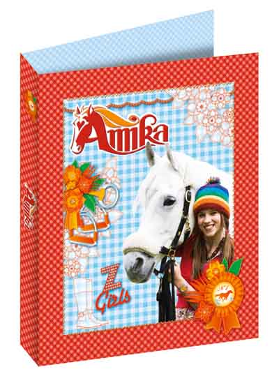Amika ringband 2-rings