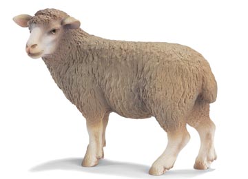 Lees Meer... : 13283 schleich schaap, staand