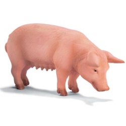 13288 Schleich varken staand
