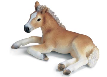 Lees Meer... : 13292 schleich haflinger veulen