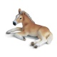 Bekijken 13292 Schleich haflinger veulen
