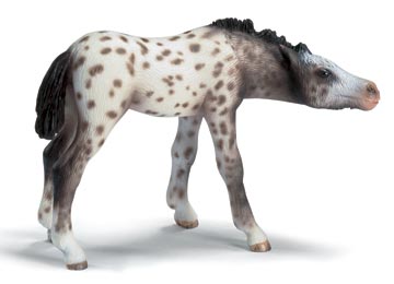13619 schleich zuigend knabstrupper veulen