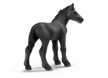 13627 schleich veulen percheron