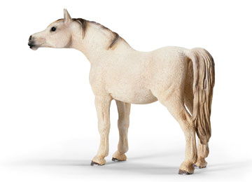 13630 schleich merrie arabisch