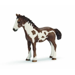 13695 Schleich - Pinto jaarling