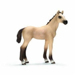 13702 Schleich - Akhal-Teke veulen