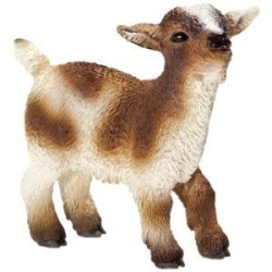 13716 Schleich - Dwerggeit, jong