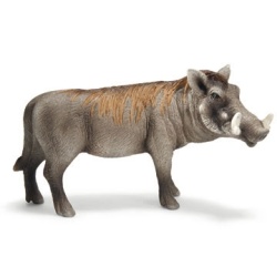 14611 Schleich wrattenzwijn mannetje