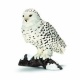 14671 Schleich - Sneeuw uil