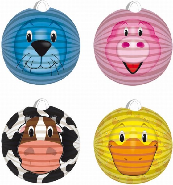 Lampion dieren