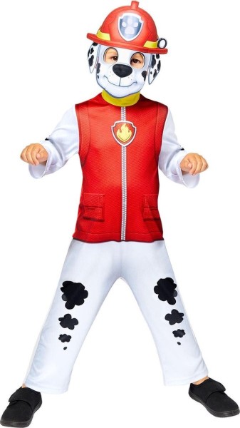 Kleding Paw Patrol Skye 4-6 Jaar