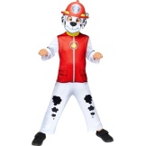 Kleding Paw Patrol Skye 4-6 Jaar