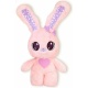 Peekapets Bunny