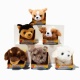 Petooties Dogs