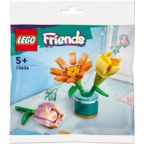 30634 Lego Vriendschapsbloemen