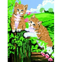 Schilderen op nummer kat