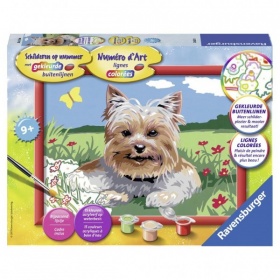 Vergroot Ravensburger Schilderen Op Nummer Kleine Yorkshire Ravensburger Schilderen Op Nummer Kleine Yorkshire