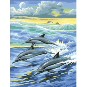 Schilderen op nummer Dolfijn