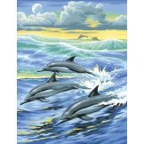 Schilderen op nummer Dolfijn