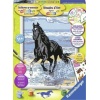 Ravensburger Schilder Op Nr Paard In De Branding