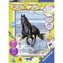 Ravensburger Schilder Op Nr Paard In De Branding