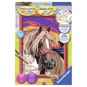 Vergroot Ravensburger Schilderen Op Nummer Droompaard Ravensburger Schilderen Op Nummer Droompaard