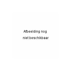 Verfspatten