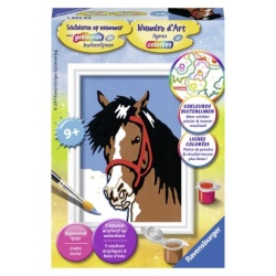 Ravensburger schilderen op nummer paardenblik