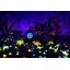 Washimals Playset Ocean Glow Lagoon