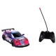 Radiografische Bestuurbare Auto Champion Wild