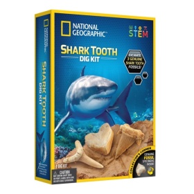 Vergroot National Geocraphic Shark Tooth Dig Kit National Geocraphic Shark Tooth Dig Kit