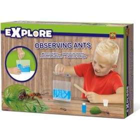 Vergroot Ses Explore Mieren Bekijken Ses Explore Mieren Bekijken