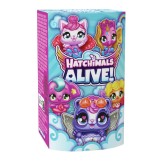 Hatchimals water hatch single pack