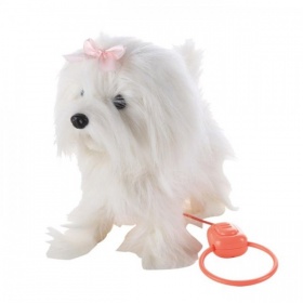 Vergroot Wandelende Hond met Riem Wandelende Hond met Riem