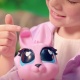 Jiggly Pets Bunny