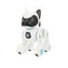Bekijken Hond Robot Met Functie