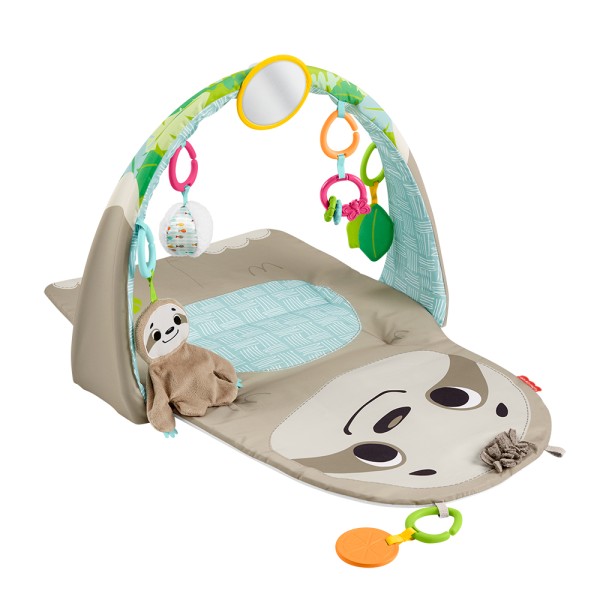 Fisher Price Ready To Hang Sensorisch Luiaard Activity Center
