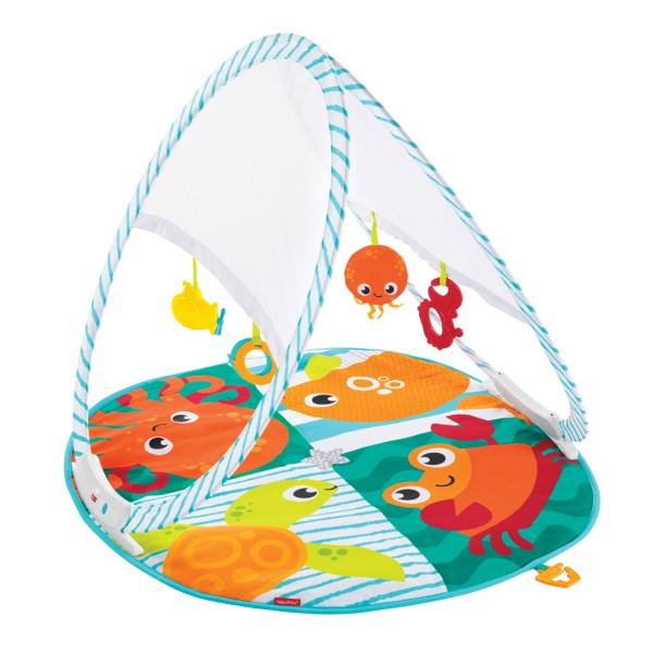 Fisher-Price draagbare babygym