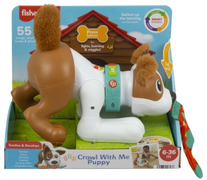 Fisher Price 123 Crawl With Me Puppy