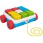 Fisher Price Activiteiten Blokken