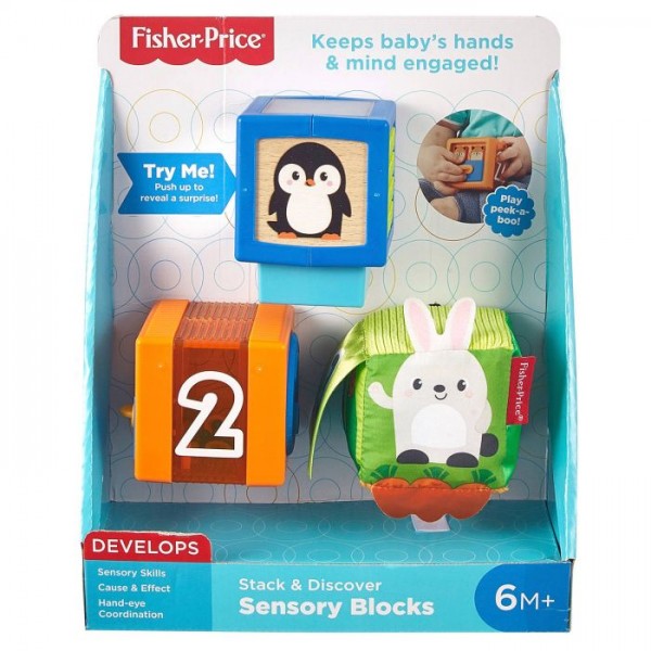 Fisher Price Stapel En Ontdek Blokken