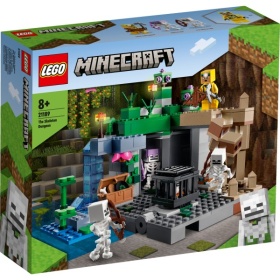 Vergroot 21189 Lego Minecraft De Skeletkerker 21189 Lego Minecraft De Skeletkerker