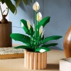 Bekijken Lego 11504 Botanicals Lepelplant