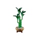Lego 10344 Botanicals Bamboe