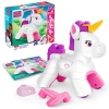 Bekijken Fisher Price Mega Bloks Build & Enchant Unicorn