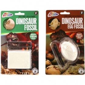 Vergroot Dinosaurus Fossiel Uitbikken Dinosaurus Fossiel Uitbikken