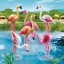 6651 Playmobil Groep Flamingo's