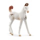 Schleich 14896 Marwari Foal